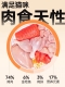 金装成猫2