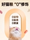 金装成猫4