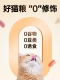 金装幼猫4